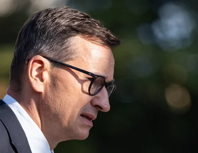 Miniatura: Rzeź w PiS-ie. „Do września burza minie....