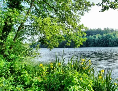 Miniatura: TOP 7 Wprost: Sposób na majówkę