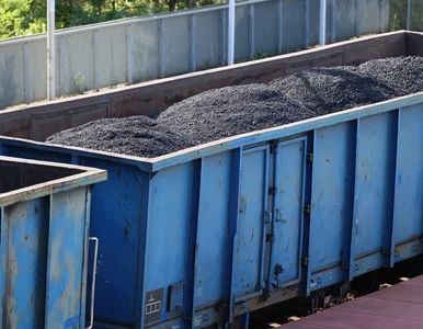 Miniatura: Mógł doprowadzić do katastrofy kolejowej....