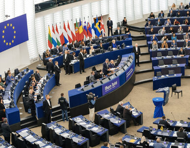Skandal w Parlamencie Europejskim. Dwóm europosłom uchylono immunitety