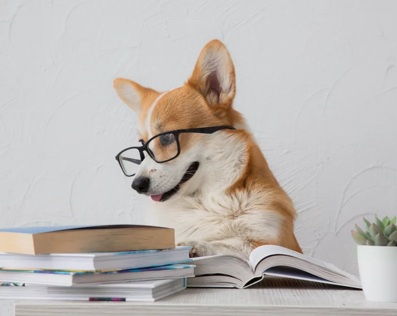 Miniatura: Wyjątkowo trudny QUIZ na poranną...