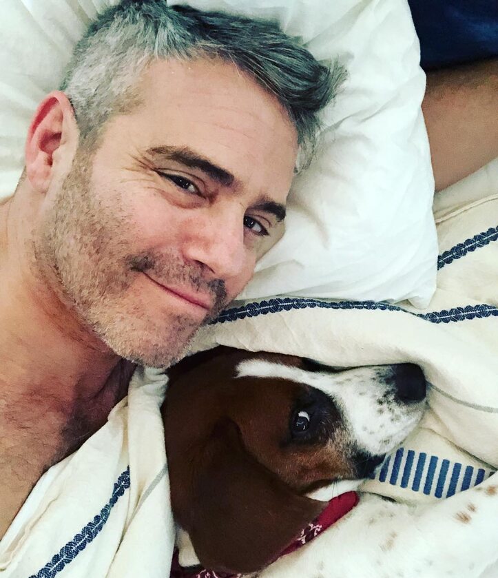 6. Wacha – pies Andy'ego Cohena Szczęśliwy psiak podróżuje ze swoim właścicielem po świecie. Jego profil na Instagramie obserwuje 228 tysięcy osób.