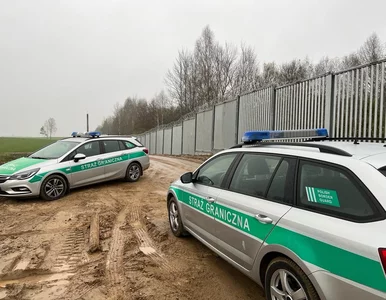 Miniatura: Straż Graniczna podsumowała ostatni...