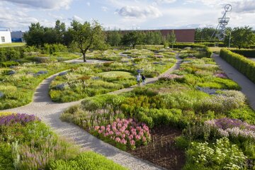 Naturalistyczny ogród Pieta Oudolfa na Vitra Campus w Weil am Rhein – przykład harmonii między dzikością a precyzyjnym projektowaniem 