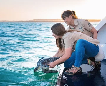 Bindi Irwin 