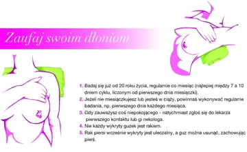 (fot. materiały prasowe)