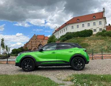 Miniatura: Ten „mieszczuch” przykuwa uwagę...