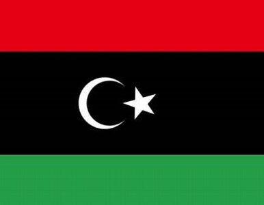 Miniatura: Algieria uznaje Narodową Radę Libijską