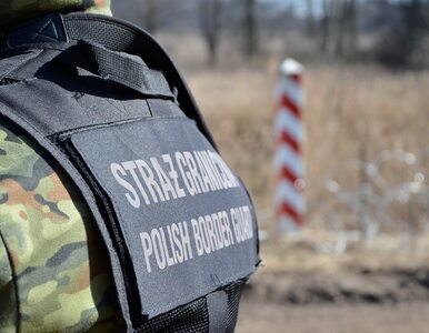 Miniatura: Grupa migrantów sforsowała polską granicę....