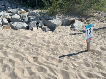 Wejście na&nbsp;plażę w&nbsp;Pobierowie