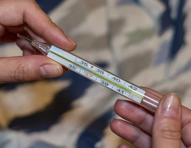 Miniatura: Podchwytliwy QUIZ z wiedzy ogólnej na...