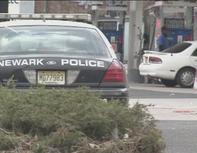 Miniatura: Raper DMX oskarżony o kradzież