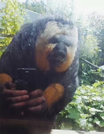 Będzie idealne selfie? 