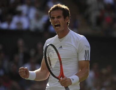 Miniatura: Wimbledon: Murray zagra w półfinale z...