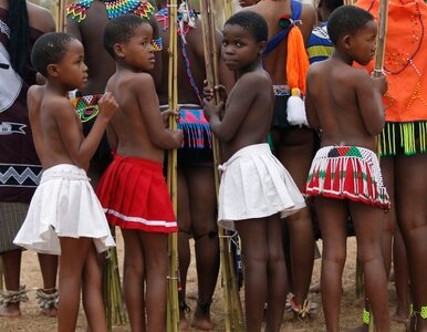 Miniatura: Dziewice tańczą dla króla Suazi