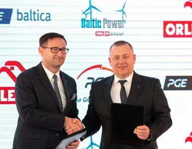 Miniatura: Zielona energia