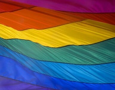 Miniatura: Homoseksualiści mogą zawierać małżeństwa w...