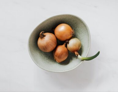 Miniatura: Odżywka z łupin cebuli – wzmacnia rośliny,...