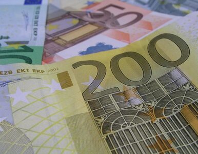 Miniatura: "Strefę euro powinny opuścić Niemcy, nie...