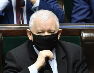 Miniatura: Jarosław Kaczyński uderza w Zbigniewa...
