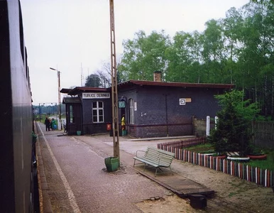 Miniatura: Tuż obok domów wyrosła im hałda groźnych...