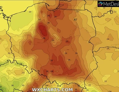 Miniatura: Tropikalne noce nie dają za wygraną....