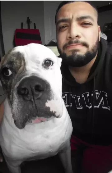 Zwierzę i jego właściciel 