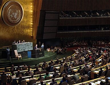 Miniatura: ONZ będzie badać zbrodnie wojenne w Syrii