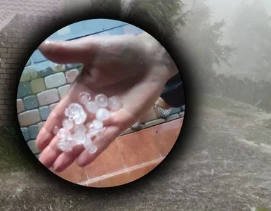 Miniatura: Mieszkańcy Podkarpacia dawno czegoś...