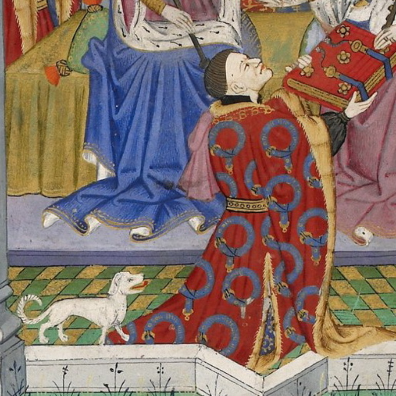 1. Talbot Psy myśliwskie powszechne w Anglii w średniowieczu. Zazwyczaj miały biały kolor, krótkie nogi i duże łapy.
