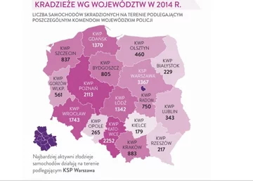 Źródło: Komenda Główna Policji opracowanie Polska Grupa Infograficzna/Infowire.pl