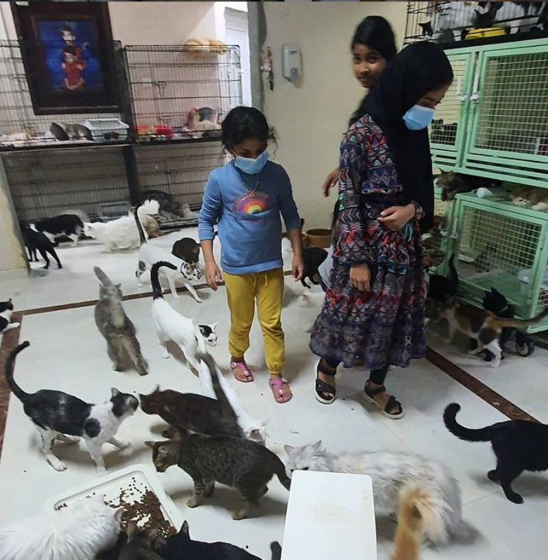 Zwierzęta, którymi opiekuje się Maryam al-Balushi 