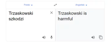Tłumacz Google i fraza „Trzaskowski szkodzi” 