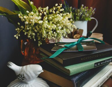 Miniatura: Krótkie książki idealne na weekend. 9...