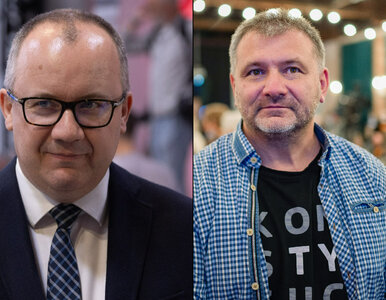Miniatura: Zamiast sukcesów są kłopoty. „Problemy...
