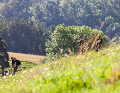 Miniatura: Trwają poszukiwania 2,5-latka. Służby...