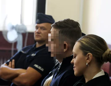 Miniatura: Śmierć trzyosobowej rodziny w wypadku na...