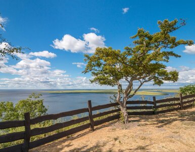 Miniatura: Na wyspach w Polsce powstanie nowa...