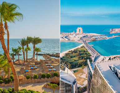 Miniatura: Nie tylko Itaka i Rainbow. Kolejne biuro...