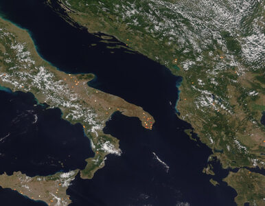Miniatura: Skalę pożarów w rejonie Morza Śródziemnego...
