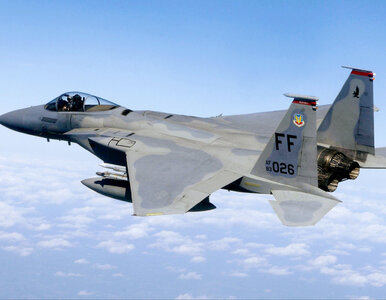 Miniatura: Iran wyznaczył nagrodę „za żywego” pilota...