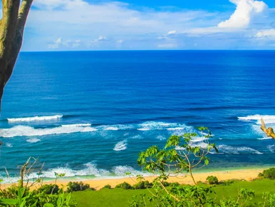 Miniatura: Przywieźli tropikalną chorobę do Polski....