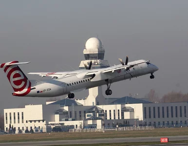 Miniatura: Paraliż nieba nad Polską. Przewoźnicy...