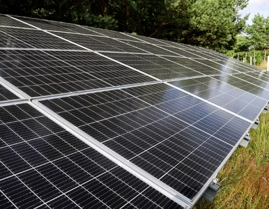 Miniatura: Unia stawia na zieloną energię. Oto jak...