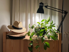 Miniatura: Lampa do roślin – pod nią kwiaty będą...