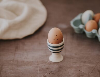 Jak w prosty sposób sprawdzić, czy jajko nadaje się jeszcze do spożycia?