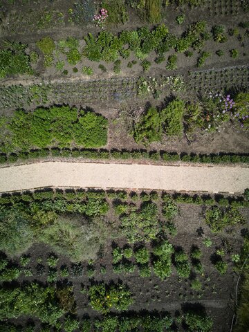 Barokowy ogród na nowo, projekt Ateliér Za Mák i Matěj Šebek 