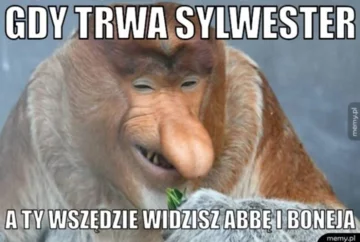 Mem z okazji Sylwestra 