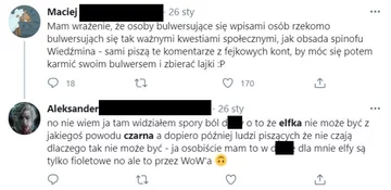 Komentarze do sporu o czarną elfkę 