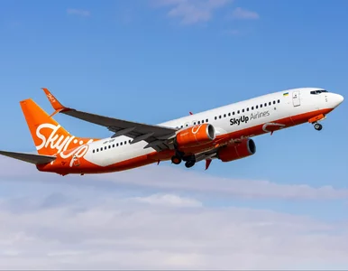 Miniatura: Chwile grozy na pokładzie samolotu. Polka...